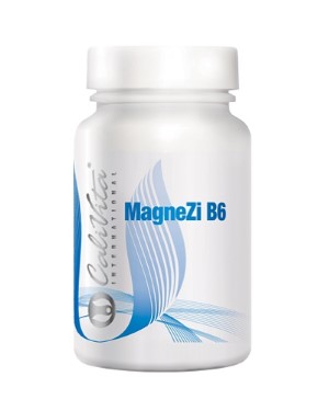 MagneZi B6